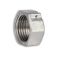 Заглушка Thermo Alliance Forte 1/2" ВР SF35215