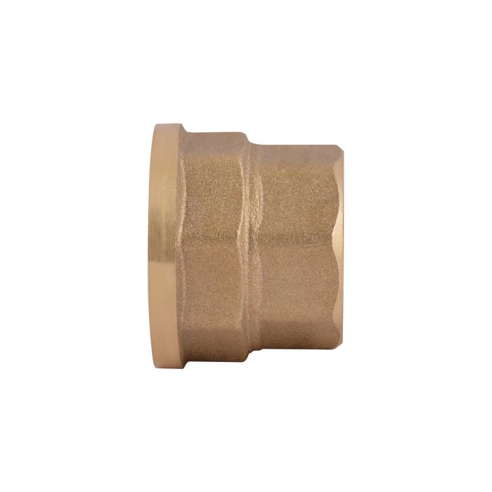 Муфта Thermo Alliance Standart 3/4"х1" ВР SD4052025